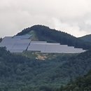 두메아리 이미지