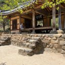 솔향이 진한 이미지