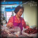 자연고추상회