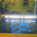 주공휴먼시아3단지 앞 이미지