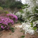 문경새재 생태미로공원 이미지