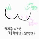 양주맘유외과의원 네이버블로그