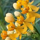 주영농장 이미지