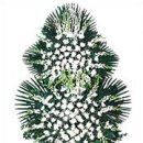 동부 비상-1호 이미지