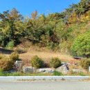 금구공인중개사사무소 이미지