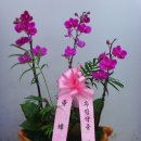 우림약품 이미지