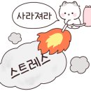점프홀릭