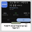 휴가 | 대구펫시터 고민 끝! 와요앱으로 믿고 맡긴 여름휴가 후기 내돈내산