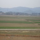 영산로 배롱나무길 이미지