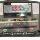 가양대교 | 서울신문하프 마라톤 상암 월드컵공원 - 가양대교 10km 후기