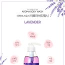 더워시(THE WASH) 이미지