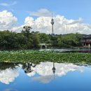 두류공원 이미지