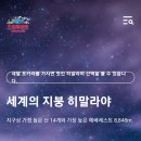 새로이여행사 이미지