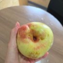 용연농산물