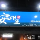 안대포 네이버블로그