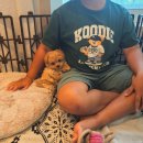 아이콘 동물병원 이미지