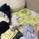 RED텔레콤 | 🇹🇼대만타이베이 가족여행 #1