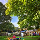 캠핑 앨리스 이미지