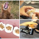 장전치과의원 | 인생 맛집 대방출! 오늘, 위장 풀가동 준비 완료?