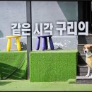 그레이닝 킨더가든 이미지