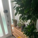 궁남로스테이 이미지