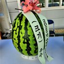 진안농협동향지점 하나로마트 | 뜨거운 햇살 아래, 진안고원 수박축제 현장을 다녀오다!