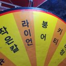 발안천교 | 22. 경기도 화성시 제 8회 발안천 벚꽃 축제