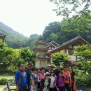 솔과황토 이미지