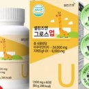 아이그로스 이미지