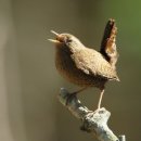 수정아파트 이미지