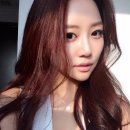 꽃, 이어라 이미지