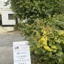 이기산농장 | 예산 당진 아그로랜드 태신농장 대형카페 : 우유농가 메뉴추천