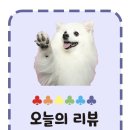 요거트아이스크림의정석화성