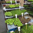 막내목장 이미지