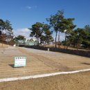 걸포중앙공원 이미지