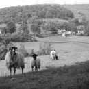 유토피아2 이미지