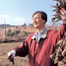 강남한나라한의원 이미지