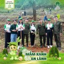 뱅크트리 이미지