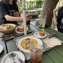 수지애견 이미지