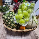 호계로L 이미지