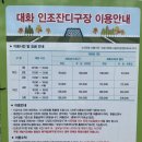 대화인조구장 이미지