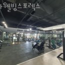 효자웰빙 스포렉스 이미지