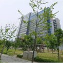 동탄1삼성공인중개사사무소 이미지