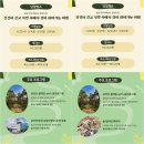 오감서 | 금산여행 금산 시나브로 치유길 여행코스｜금성산 술래길 숲멍 인삼주 체험 힐링 후기