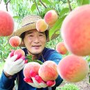 월봉농장 뉴시스