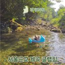 리틀애견 | 서울근교 계곡 글램핑, 가평 리틀포레스트 애견동반 후기