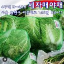남문텔레콤 이미지
