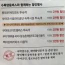 백마강길 | 부여 이색 체험 코스 ! 수륙양용버스 가격 할인