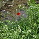 덕양민박 | [평일] 가쟈의 냠냠 블로그 (엔딩은 덕톡)