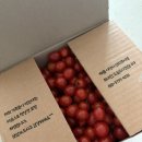 토마토2 | 달코미스토어 대추방울토마토 2kg 배송 후기(토마토로 4가지 요리만들기)